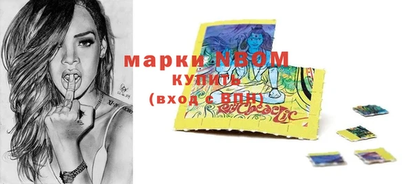 индика Тобольск