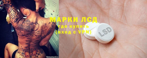 индика Тобольск