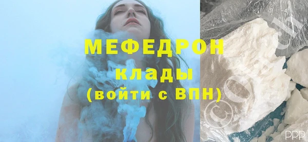 индика Тобольск