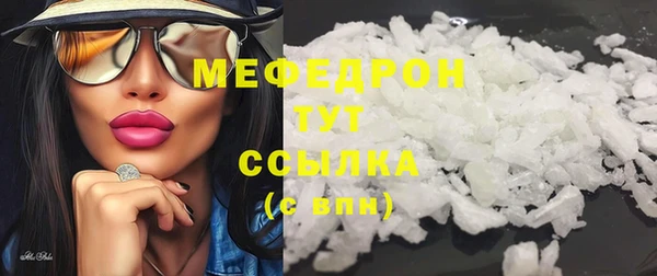 индика Тобольск