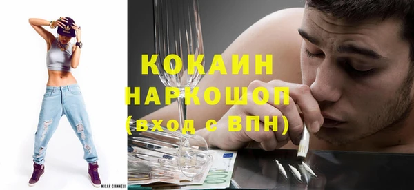 индика Тобольск