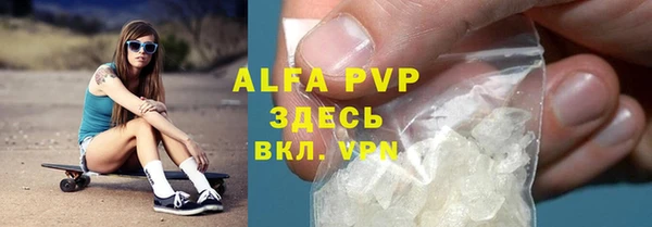 индика Тобольск