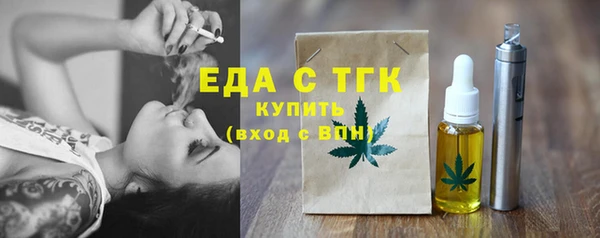 индика Тобольск