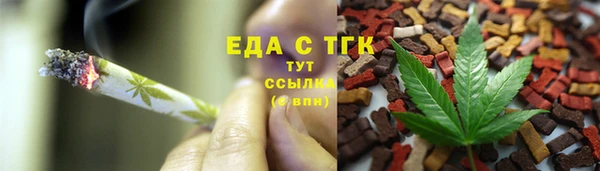индика Тобольск