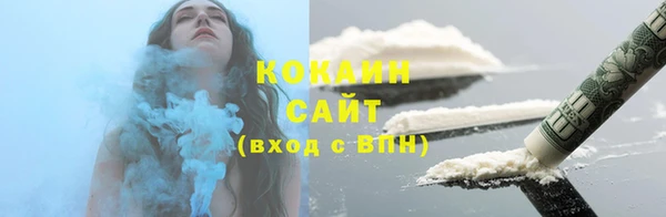 индика Тобольск