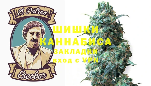 индика Тобольск