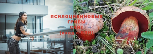индика Тобольск