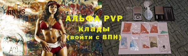 индика Тобольск