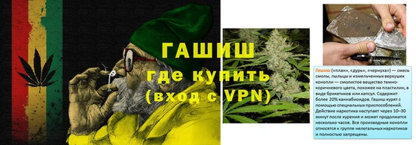 индика Тобольск