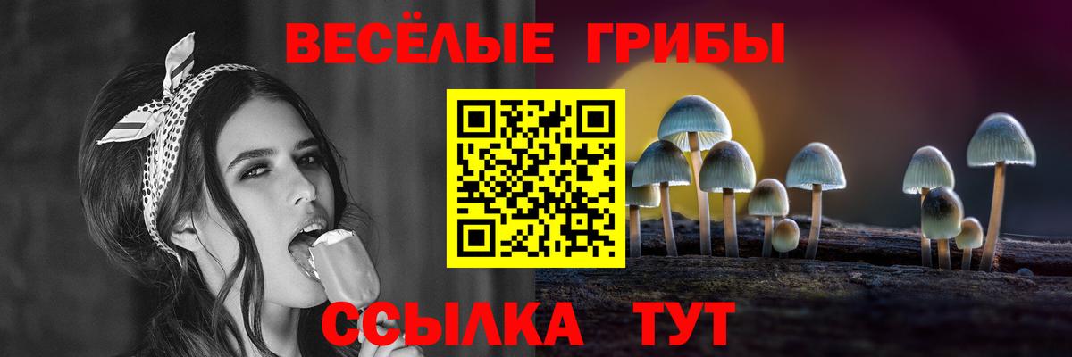 Псилоцибиновые грибы Magic Shrooms  Усть-Лабинск 